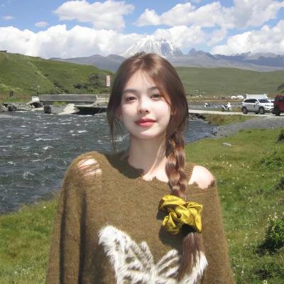 芝加哥烈焰第十二季